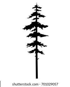 tree pine silhouette vector isolated, cypress cut out illustration - wood tattoos