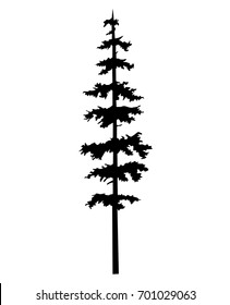 tree pine silhouette vector logo tattoo template design, conifer tree pine vector, tattoo silhouette wood vector, cypress illustration - wood forest tattoos