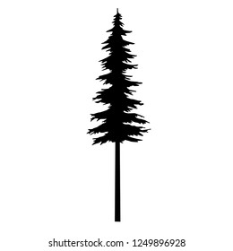 tree pine silhouette vector, tattoo cypress logo nature forest vector templates, spruce silhouette branch sketch