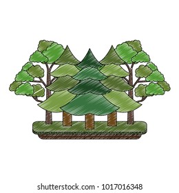 Tree pines forest
