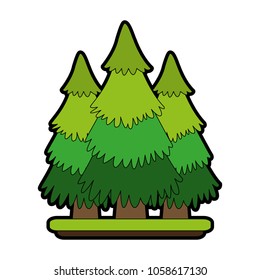 Tree pines isolated