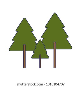 tree pines isolated nature