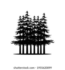 tree pines, spruce, cedar design illustration vector
