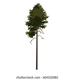 Tree Pinetree Clip Art, Vector