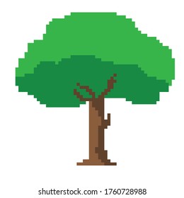 Tree pixel art. Vector picture. 