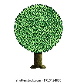 Tree pixel art. Vector picture. 