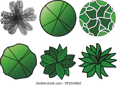 Tree Plan