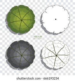 Tree plan collection with shadow and transparent background for landscape design. Vector illustration.