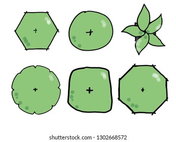 tree plan for landscape design urban design architecture design or marketing about forest woodland garden or education for student