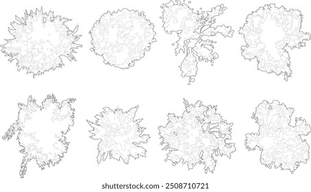 Siluetas de contorno de Plan de árbol - vista superior 4