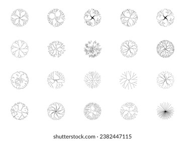 tree plan plant landscape architecture nature park garden collection vector. set tree outline environment top view illustration green urban bush. tree architecture flower outdoor silhouette.