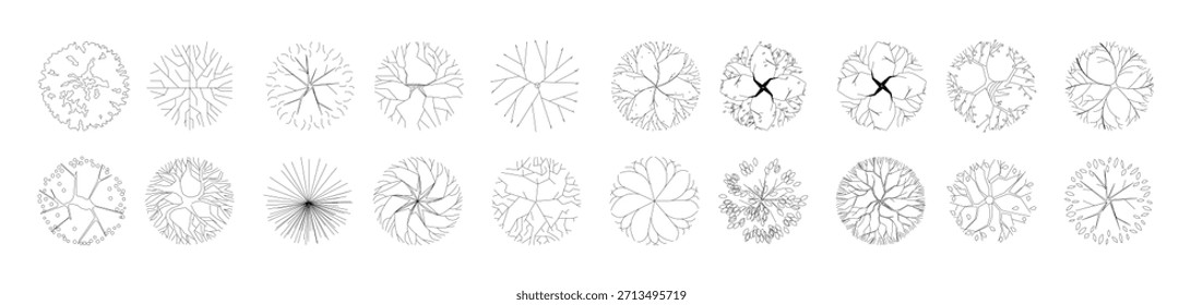 tree plan plant landscape architecture nature park garden