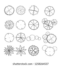 Tree Plan Tree Top View Hand Stock Vector (Royalty Free) 1258264537 ...