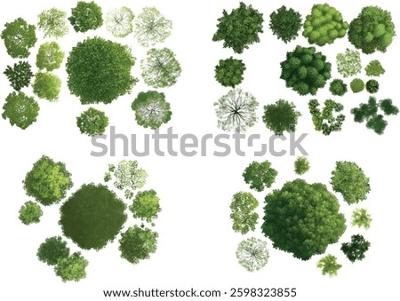Tree Plan Vector Set. Top View Tree Collection on White Background.