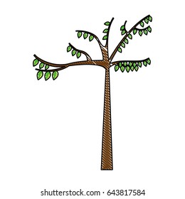 tree plant autumn icon