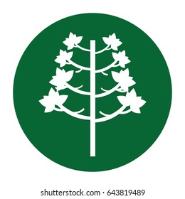 tree plant autumn icon