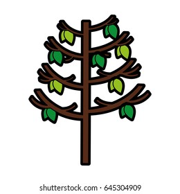 tree plant autumn icon