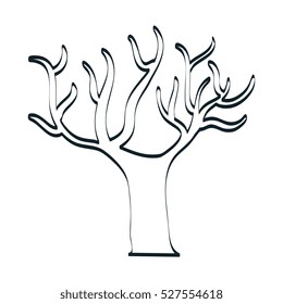 tree plant autumn line icon