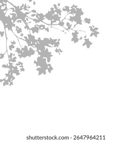 Tree plant branch shadow effects isolated on transparent background. Blurred tree branch shadow. Plant leaves shade. decoration, Mockup, template for product display, vector design elements,