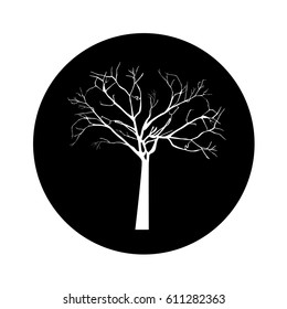 tree plant branches icon vector illustration design