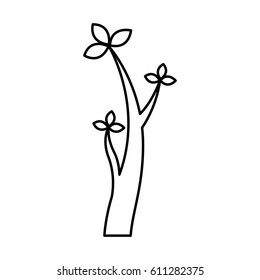 tree plant branches icon vector illustration design