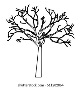 tree plant branches icon vector illustration design