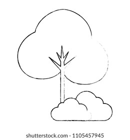 tree plant and bush forest