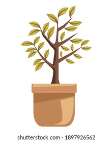 tree plant in ceramic pot icon vector illustration design