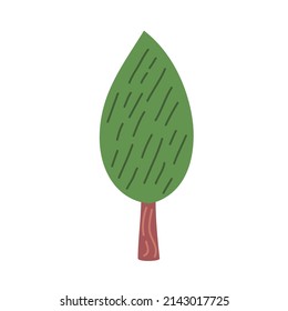 tree plant coniferus nature icon