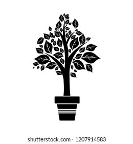 tree plant cultivated in pot