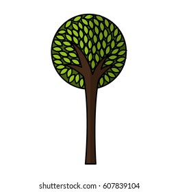 tree plant ecological icon vector illustration design