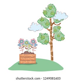 tree plant with flowers garden in wooden pot