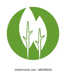 tree plant forest icon
