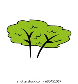 tree plant forest icon