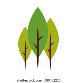 tree plant forest icon