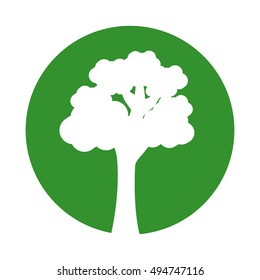 tree plant forest isolated icon vector illustration design