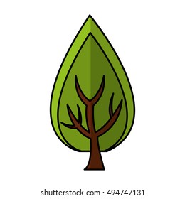 tree plant forest isolated icon vector illustration design