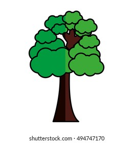 tree plant forest isolated icon vector illustration design