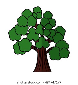 tree plant forest isolated icon vector illustration design