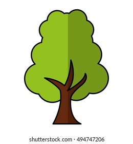 tree plant forest isolated icon vector illustration design
