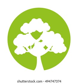 tree plant forest isolated icon vector illustration design