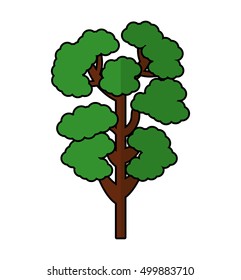 tree plant forest isolated icon vector illustration design
