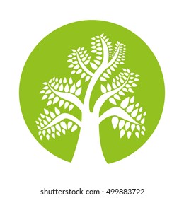 tree plant forest isolated icon vector illustration design