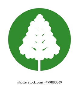 tree plant forest isolated icon vector illustration design
