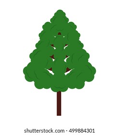 tree plant forest isolated icon vector illustration design