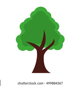 tree plant forest isolated icon vector illustration design