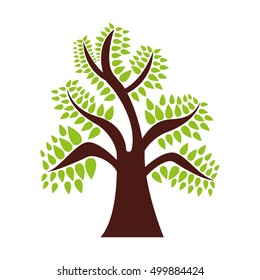 tree plant forest isolated icon vector illustration design
