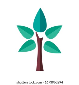 tree plant forest with leafs flat style icon vector illustration design