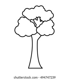 tree plant forest monochrome isolated icon vector illustration design