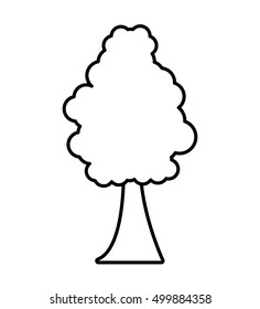 tree plant forest monochrome isolated icon vector illustration design